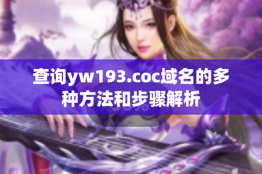 查詢yw193.coc域名的多種方法和步驟解析