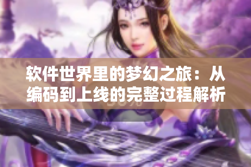 軟件世界里的夢(mèng)幻之旅：從編碼到上線的完整過程解析