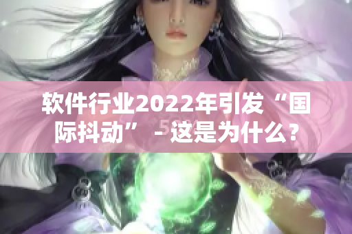 軟件行業(yè)2022年引發(fā)“國(guó)際抖動(dòng)” - 這是為什么？