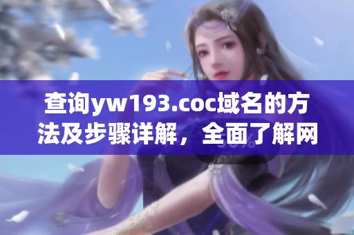 查詢yw193.coc域名的方法及步驟詳解，全面了解網(wǎng)絡(luò)域名解析原理