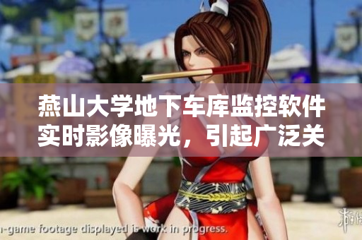 燕山大學地下車庫監(jiān)控軟件實時影像曝光，引起廣泛關(guān)注