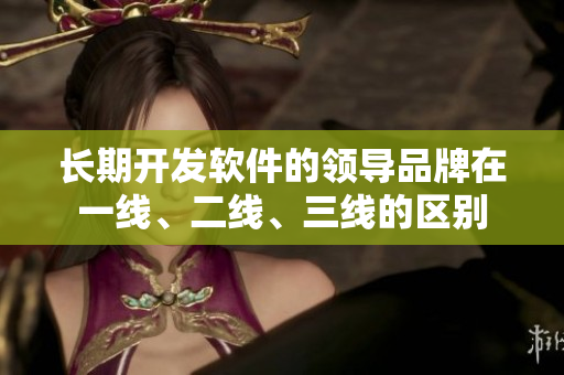 長期開發(fā)軟件的領(lǐng)導(dǎo)品牌在一線、二線、三線的區(qū)別