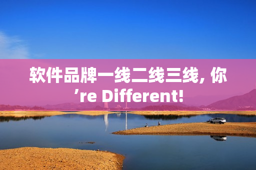 軟件品牌一線二線三線, 你’re Different!