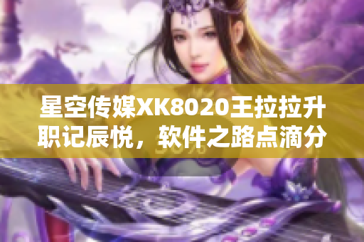 星空傳媒XK8020王拉拉升職記辰悅，軟件之路點滴分享