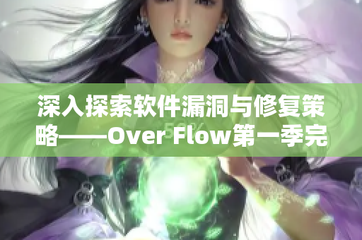 深入探索軟件漏洞與修復策略——Over Flow第一季完整觀看指南