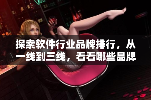 探索軟件行業(yè)品牌排行，從一線到三線，看看哪些品牌久久在行！