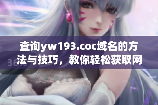 查詢yw193.coc域名的方法與技巧，教你輕松獲取網(wǎng)絡(luò)軟件關(guān)鍵信息
