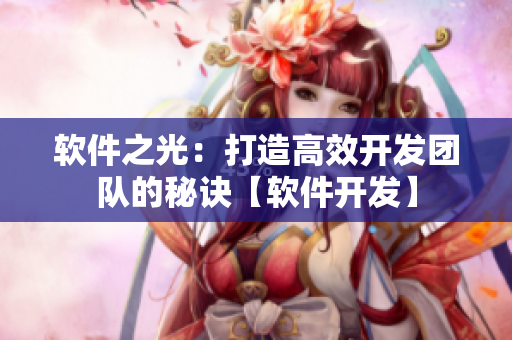軟件之光：打造高效開發(fā)團(tuán)隊的秘訣【軟件開發(fā)】