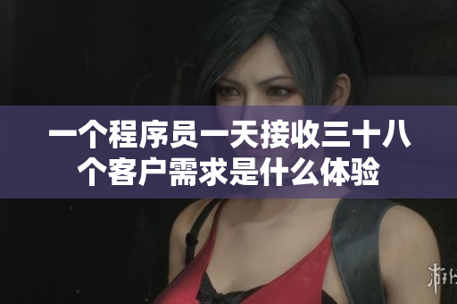 一個程序員一天接收三十八個客戶需求是什么體驗(yàn)