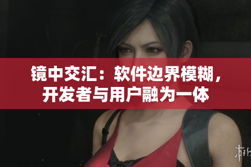 鏡中交匯：軟件邊界模糊，開發(fā)者與用戶融為一體