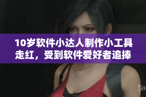10歲軟件小達(dá)人制作小工具走紅，受到軟件愛好者追捧