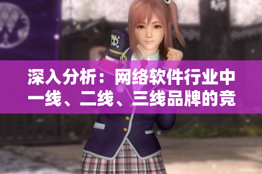 深入分析：網(wǎng)絡(luò)軟件行業(yè)中一線、二線、三線品牌的競爭格局調(diào)查