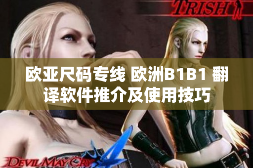 歐亞尺碼專線 歐洲B1B1 翻譯軟件推介及使用技巧