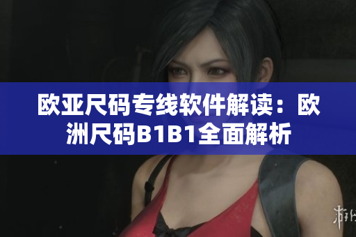 歐亞尺碼專線軟件解讀：歐洲尺碼B1B1全面解析