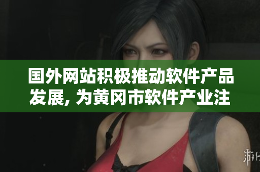 國外網(wǎng)站積極推動(dòng)軟件產(chǎn)品發(fā)展, 為黃岡市軟件產(chǎn)業(yè)注入新動(dòng)力