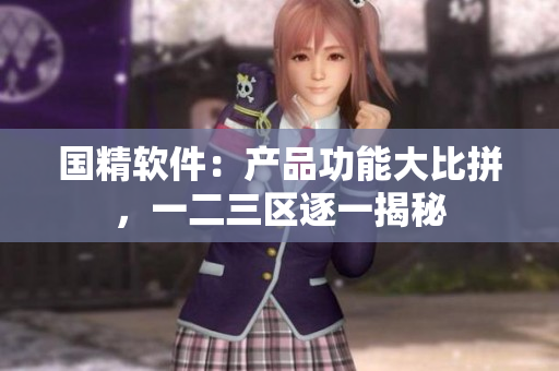 國精軟件：產(chǎn)品功能大比拼，一二三區(qū)逐一揭秘