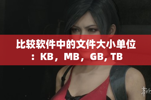 比較軟件中的文件大小單位：KB，MB，GB, TB