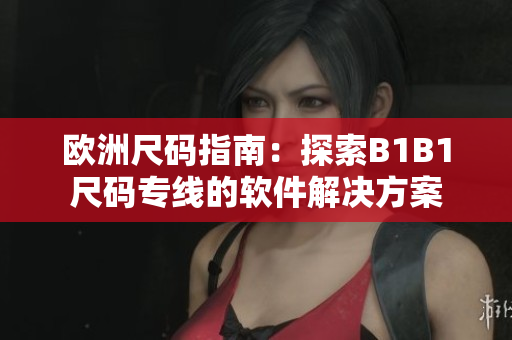 歐洲尺碼指南：探索B1B1尺碼專線的軟件解決方案