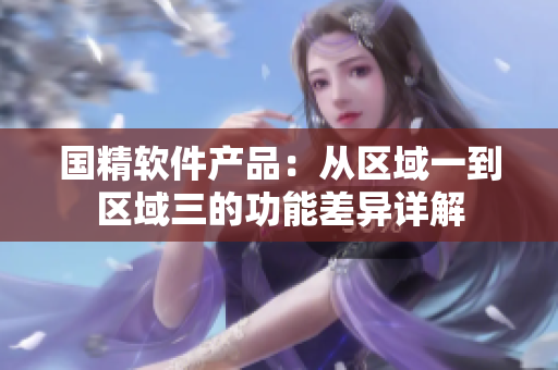 國精軟件產(chǎn)品：從區(qū)域一到區(qū)域三的功能差異詳解