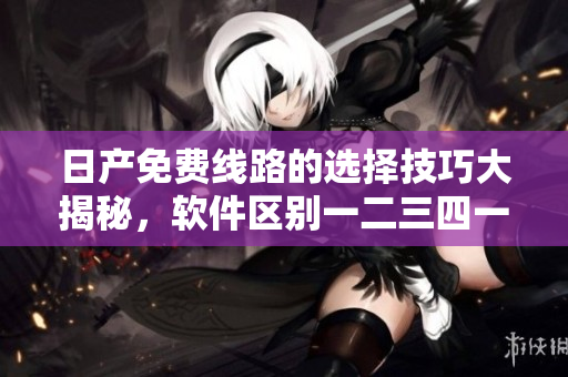 日產(chǎn)免費(fèi)線路的選擇技巧大揭秘，軟件區(qū)別一二三四一目了然