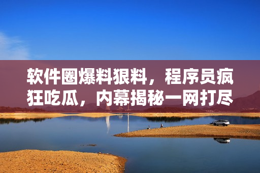 軟件圈爆料狠料，程序員瘋狂吃瓜，內(nèi)幕揭秘一網(wǎng)打盡