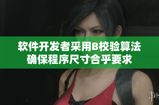 軟件開發(fā)者采用B校驗(yàn)算法確保程序尺寸合乎要求