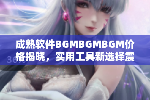 成熟軟件BGMBGMBGM價格揭曉，實用工具新選擇震撼推出