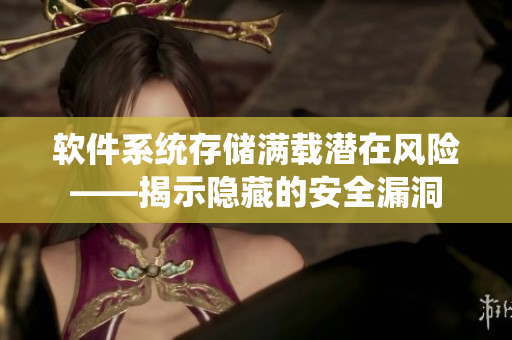 軟件系統(tǒng)存儲(chǔ)滿載潛在風(fēng)險(xiǎn)——揭示隱藏的安全漏洞