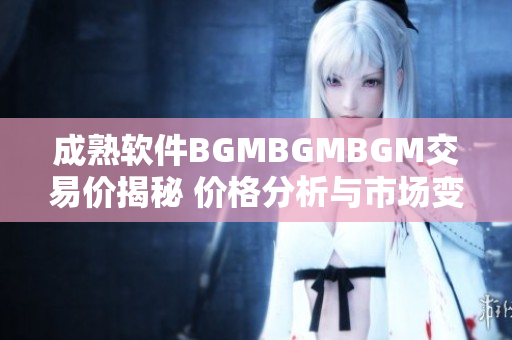 成熟軟件BGMBGMBGM交易價揭秘 價格分析與市場變動解讀