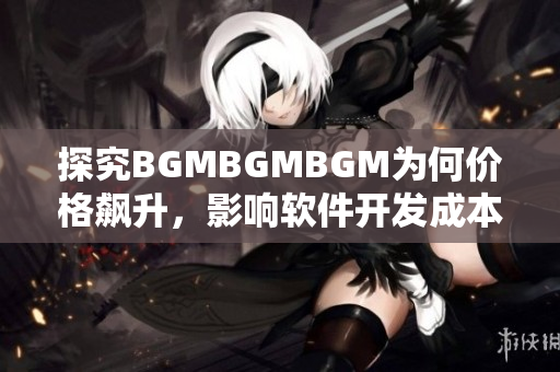 探究BGMBGMBGM為何價(jià)格飆升，影響軟件開發(fā)成本的內(nèi)在因素
