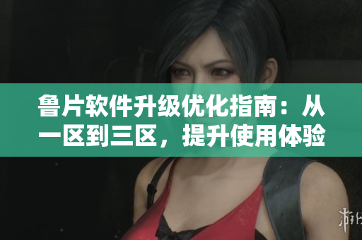 魯片軟件升級優(yōu)化指南：從一區(qū)到三區(qū)，提升使用體驗