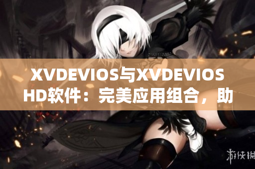 XVDEVIOS與XVDEVIOSHD軟件：完美應(yīng)用組合，助力您工作更高效