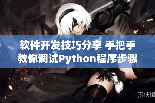 軟件開發(fā)技巧分享 手把手教你調試Python程序步驟