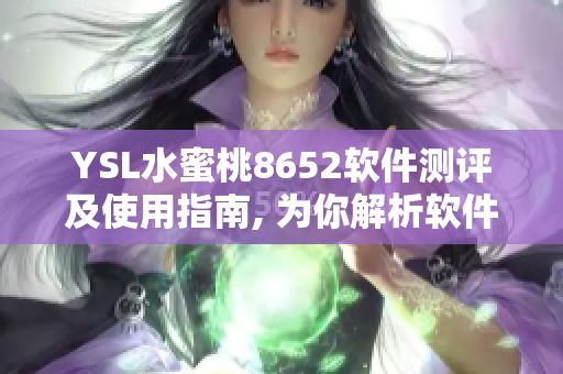 YSL水蜜桃8652軟件測評及使用指南, 為你解析軟件性能和功能