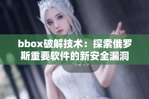 bbox破解技術(shù)：探索俄羅斯重要軟件的新安全漏洞