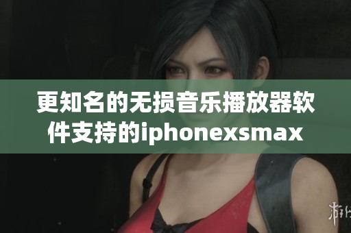 更知名的無損音樂播放器軟件支持的iphonexsmax