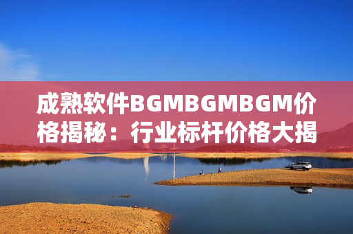 成熟軟件BGMBGMBGM價格揭秘：行業(yè)標(biāo)桿價格大揭秘