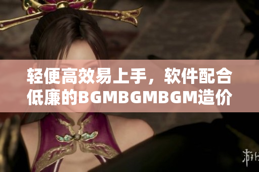 輕便高效易上手，軟件配合低廉的BGMBGMBGM造價格化解煩惱