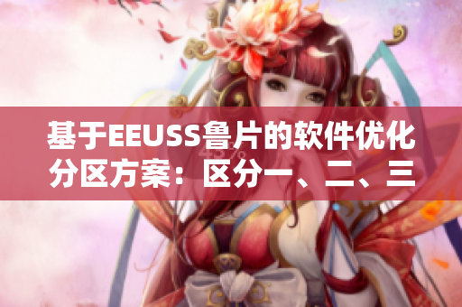 基于EEUSS魯片的軟件優(yōu)化分區(qū)方案：區(qū)分一、二、三區(qū)的利與弊