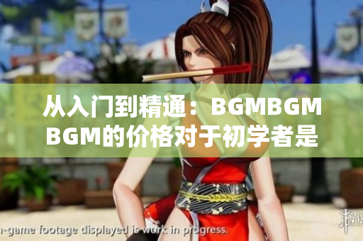 從入門到精通：BGMBGMBGM的價格對于初學者是否值得投資？