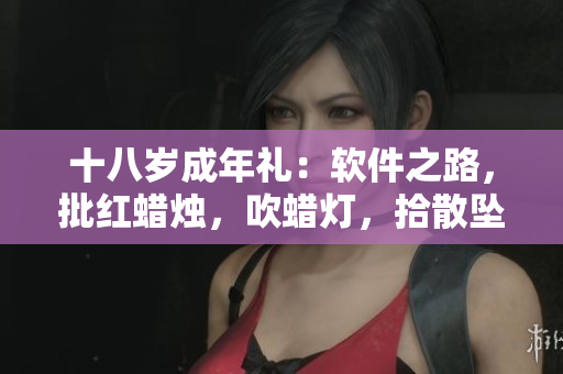 十八歲成年禮：軟件之路，批紅蠟燭，吹蠟燈，拾散墜落代碼。