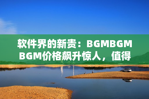 軟件界的新貴：BGMBGMBGM價(jià)格飆升驚人，值得一探！