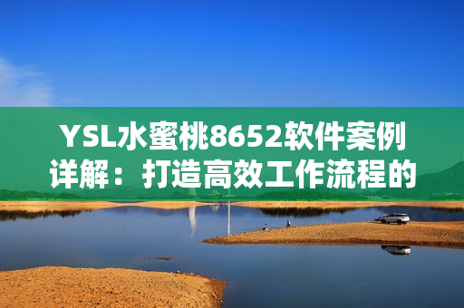 YSL水蜜桃8652軟件案例詳解：打造高效工作流程的秘訣