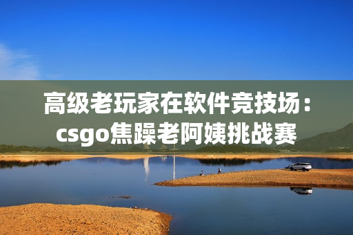 高級老玩家在軟件競技場：csgo焦躁老阿姨挑戰(zhàn)賽