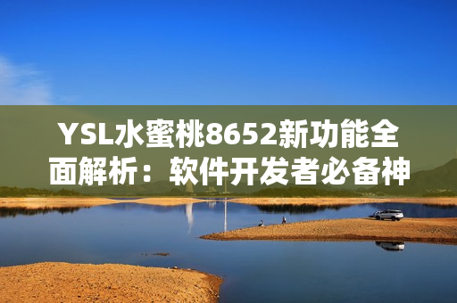 YSL水蜜桃8652新功能全面解析：軟件開發(fā)者必備神器
