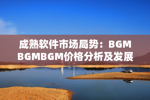 成熟軟件市場局勢：BGMBGMBGM價格分析及發(fā)展趨勢