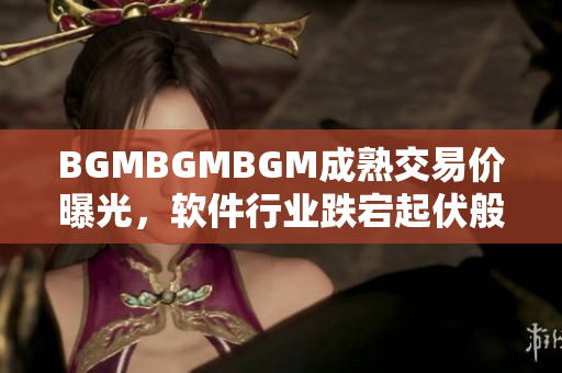 BGMBGMBGM成熟交易價曝光，軟件行業(yè)跌宕起伏般變化