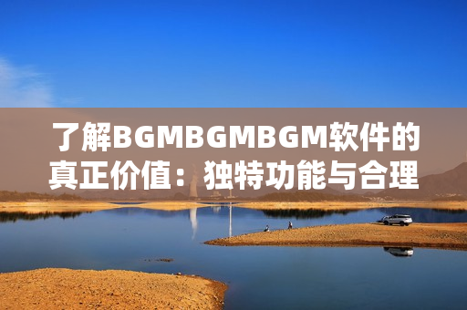 了解BGMBGMBGM軟件的真正價值：獨特功能與合理價格