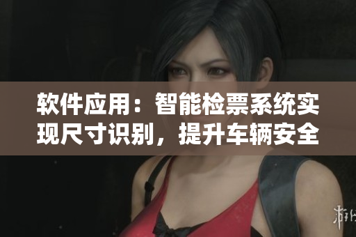 軟件應(yīng)用：智能檢票系統(tǒng)實現(xiàn)尺寸識別，提升車輛安全管理