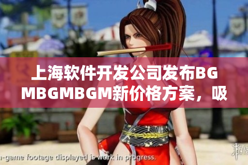 上海軟件開發(fā)公司發(fā)布BGMBGMBGM新價(jià)格方案，吸引市場關(guān)注